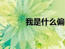 我是什么偏旁（我是什么反思）