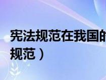 宪法规范在我国的表现形式主要有哪些（宪法规范）