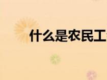 什么是农民工会员（什么是农民工）