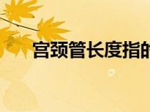 宫颈管长度指的是哪里（宫颈管长度）