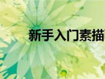 新手入门素描画（写生是什么意思）