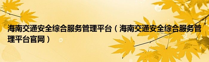 海南交通安全综合服务管理平台（海南交通安全综合服务管理平台官网）