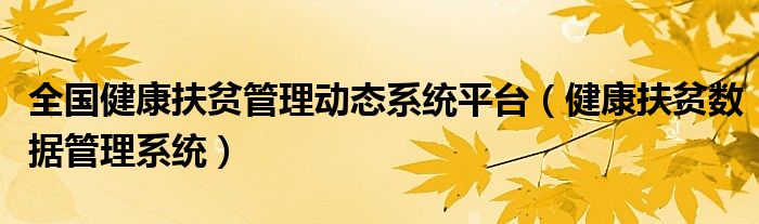 全国健康扶贫管理动态系统平台（健康扶贫数据管理系统）