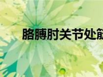 胳膊肘关节处筋疼（胳膊肘关节处疼）
