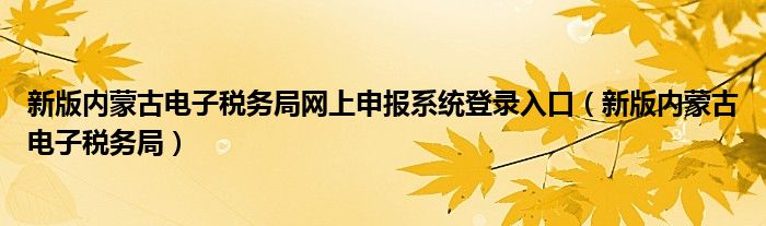 新版内蒙古电子税务局网上申报系统登录入口（新版内蒙古电子税务局）
