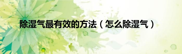 除湿气最有效的方法（怎么除湿气）