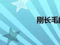 刚长毛的初一女生图片