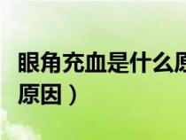 眼角充血是什么原因怎么办（眼角充血是什么原因）