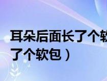 耳朵后面长了个软包是怎么回事（耳朵后面长了个软包）