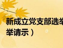 新成立党支部选举结果请示（新成立党支部选举请示）