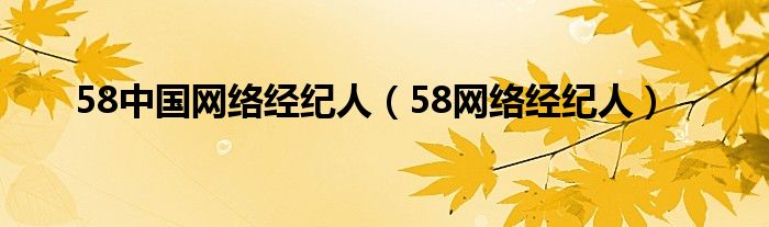 58中国网络经纪人（58网络经纪人）