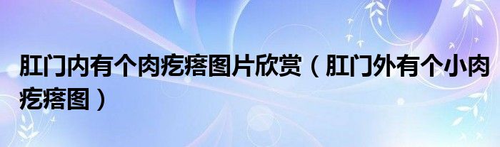肛门内有个肉疙瘩图片欣赏（肛门外有个小肉疙瘩图）