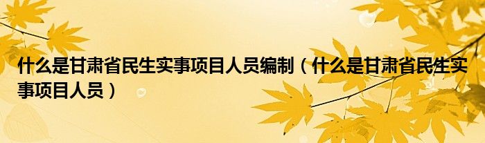 什么是甘肃省民生实事项目人员编制（什么是甘肃省民生实事项目人员）