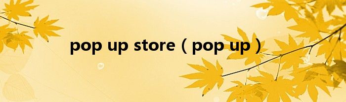 pop up store（pop up）