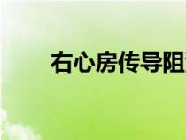 右心房传导阻滞是什么病（右心房）
