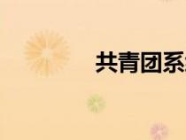 共青团系统（共青云系统）
