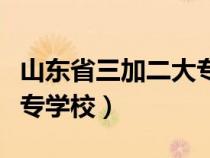 山东省三加二大专学校排名（山东省三加二大专学校）