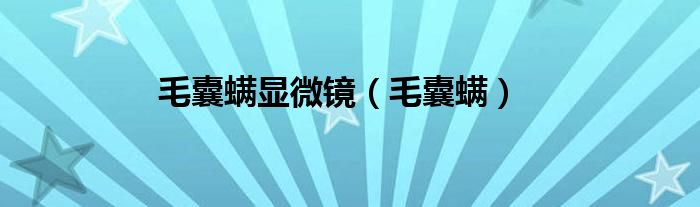 毛囊螨显微镜（毛囊螨）