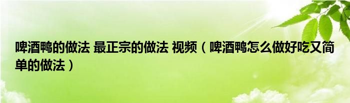 啤酒鸭的做法 最正宗的做法 视频（啤酒鸭怎么做好吃又简单的做法）