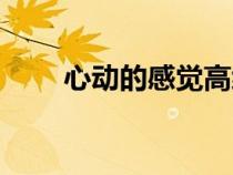 心动的感觉高级说法（心动的感觉）