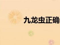 九龙虫正确养殖方法（九龙虫）