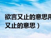 欲言又止的意思用具体的情景表现出来(欲言又止的意思) 欲言又止的意思用具体的情景表现出来(欲言又止的意思)