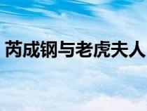 芮成钢与老虎夫人（芮成钢判决结果六年半）