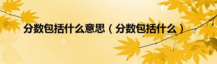 分数包括什么意思（分数包括什么）