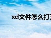 xd文件怎么打开（xdf文件怎么打开）