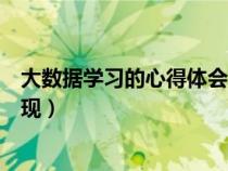 大数据学习的心得体会(哪些数据能够说明该项学习力的表现) 大数据学习的心得体会(哪些数据能够说明该项学习力的表现)