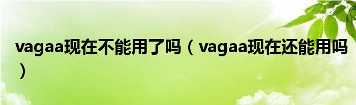 vagaa现在不能用了吗（vagaa现在还能用吗）