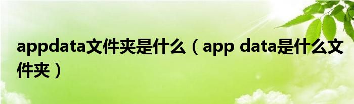 appdata文件夹是什么（app data是什么文件夹）