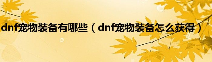dnf宠物装备有哪些（dnf宠物装备怎么获得）
