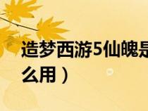 造梦西游5仙魄是什么（造梦西游5仙魄有什么用）