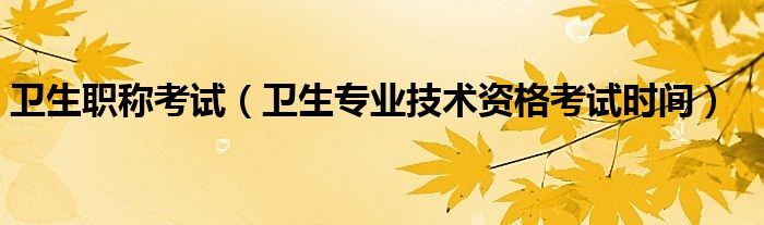 卫生职称考试（卫生专业技术资格考试时间）