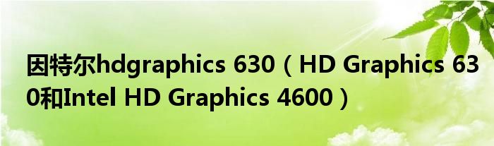 因特尔hdgraphics 630（HD Graphics 630和Intel HD Graphics 4600）