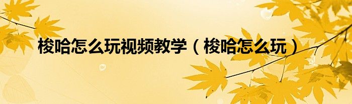 梭哈怎么玩视频教学（梭哈怎么玩）