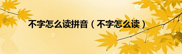 不字怎么读拼音（不字怎么读）
