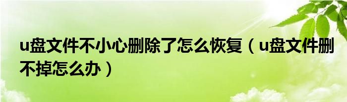 u盘文件不小心删除了怎么恢复（u盘文件删不掉怎么办）