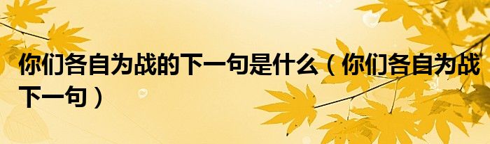 你们各自为战的下一句是什么（你们各自为战下一句）