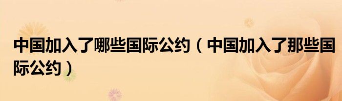 中国加入了哪些国际公约（中国加入了那些国际公约）