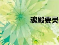 魂殿要灵魂干什么（魂殿）