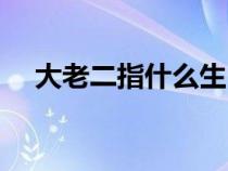 大老二指什么生肖（大老二是什么意思）