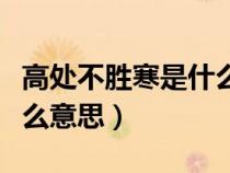 高处不胜寒是什么意思语音（高处不胜寒是什么意思）