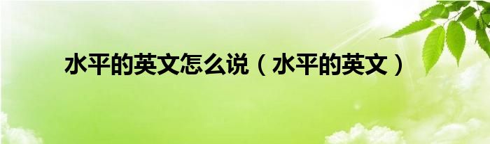 水平的英文怎么说（水平的英文）