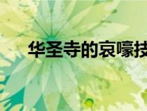 华圣寺的哀嚎技能第一个目标会被附上