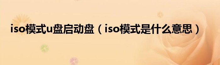 iso方式u盘启动盘（iso方式是甚么意思）