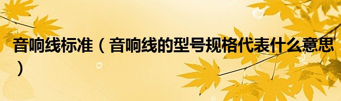 音响线标准（音响线的型号规格代表什么意思）