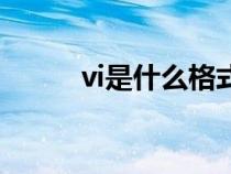 vi是什么格式的文件（vi是什么）