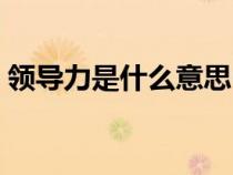 领导力是什么意思中文（领导力是什么意思）